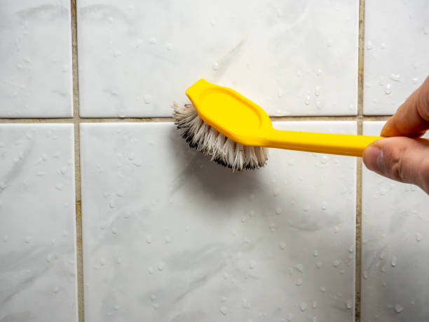 Best Residential Mold Removal  in Sun Valley, NV