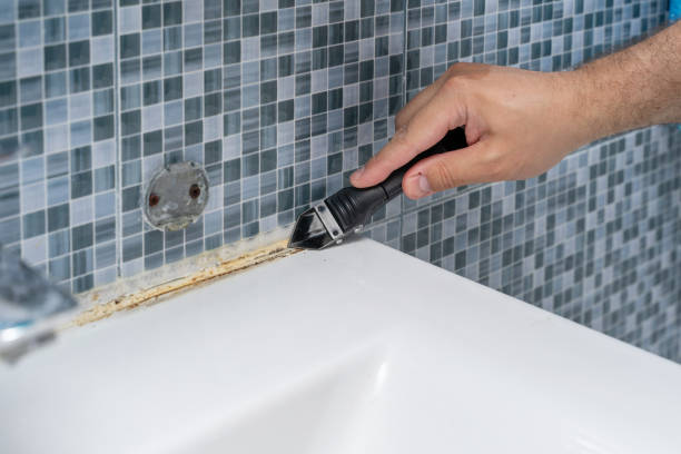 Best Local Mold Removal Service  in Sun Valley, NV
